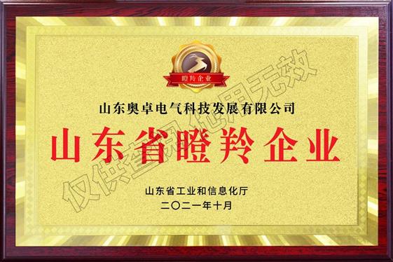山東省“瞪羚企業(yè)”
