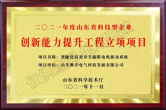 山東省科技型企業(yè)創(chuàng  )新能力提升工程立項項目