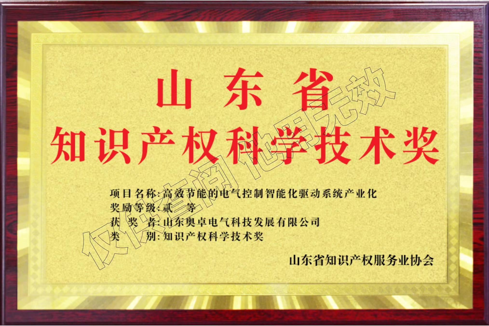 山東省知識產(chǎn)權科學(xué)技術(shù)獎