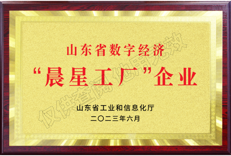 山東省數字經(jīng)濟“晨星工廠(chǎng)”企業(yè)
